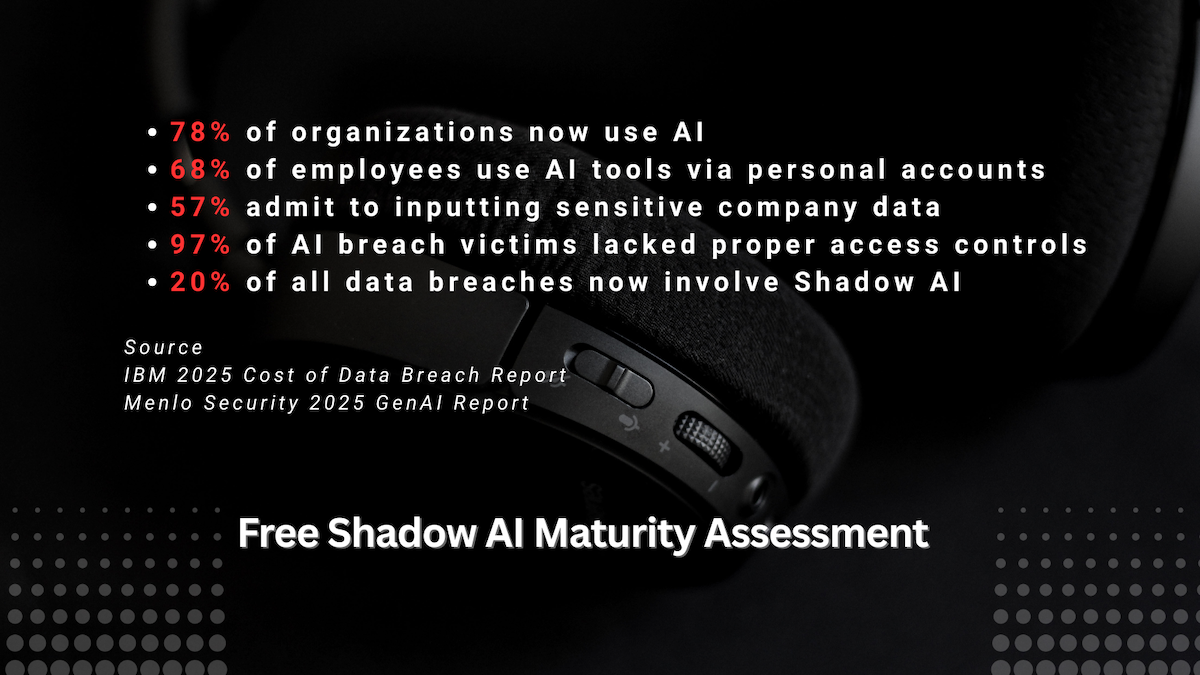 Shadow AI Security Assessment